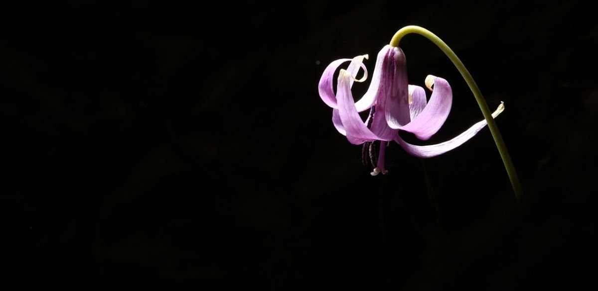 7.JPG : 정모인증