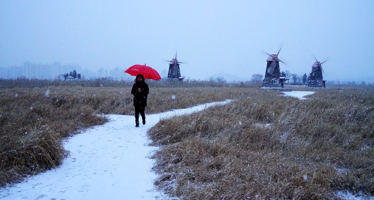 DSC09392.JPG : 1월 정모숙제