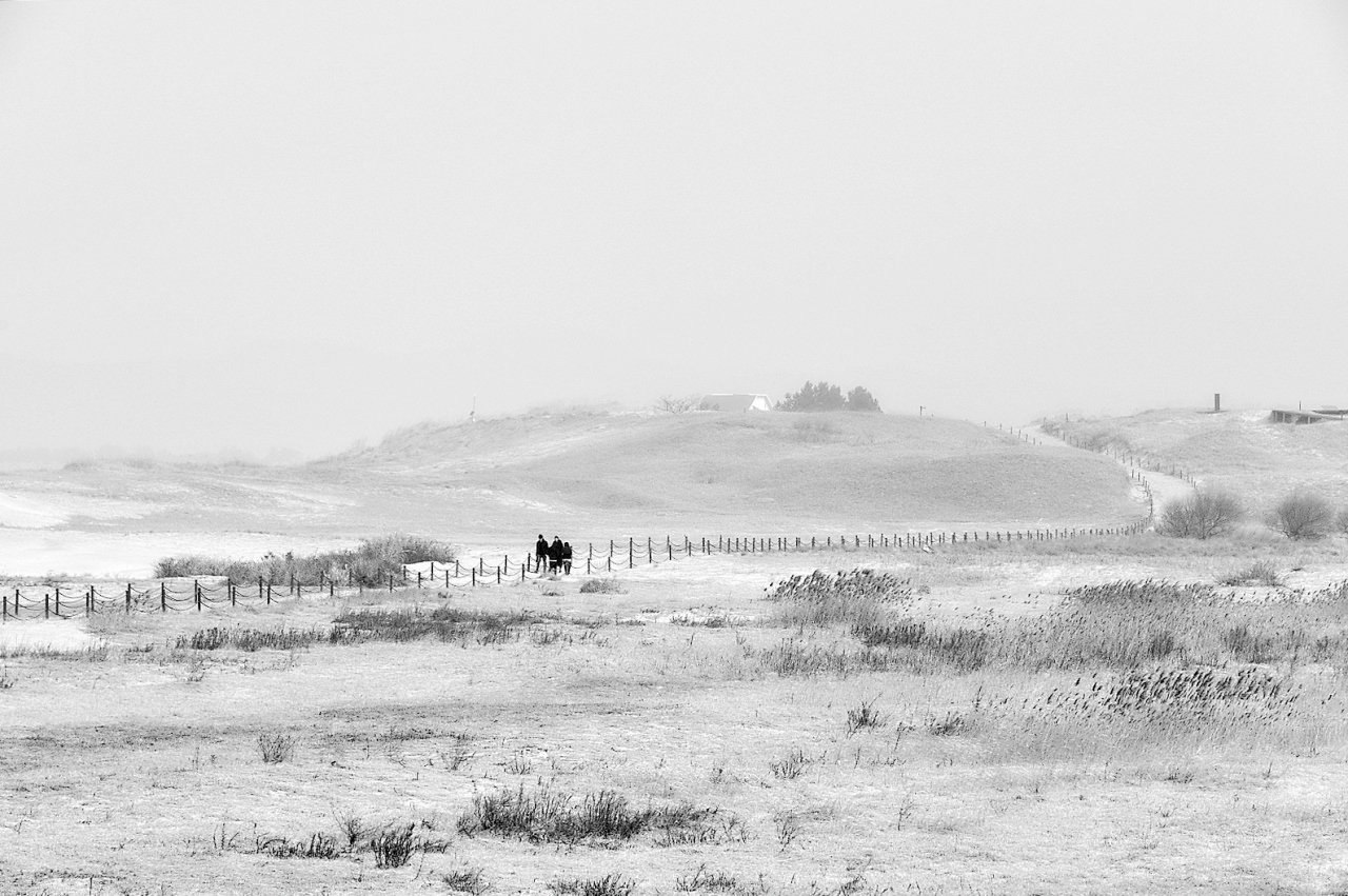 IMG_20190301_39.jpg : 미세먼지의 신두리