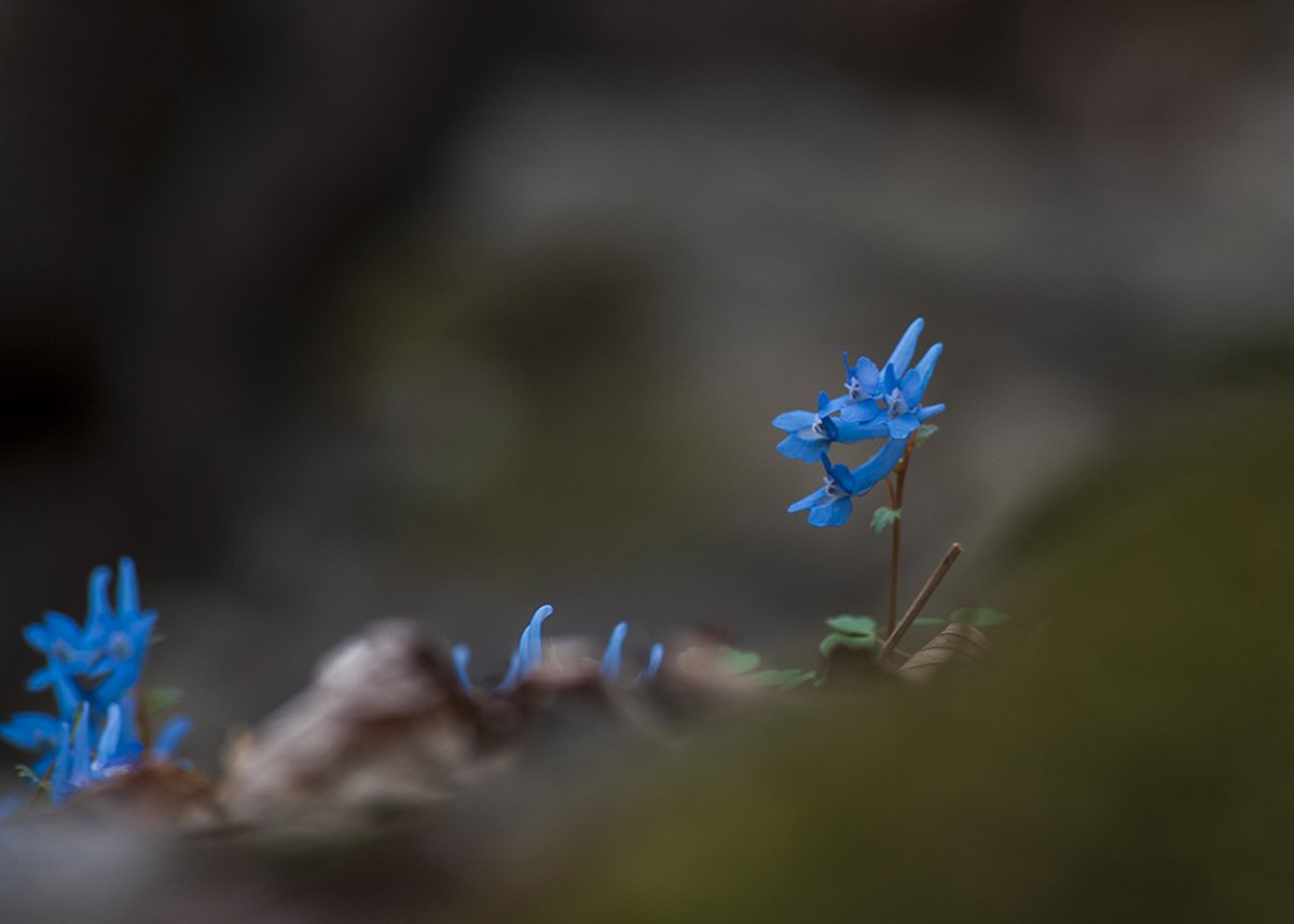 DSC_8823-1200.jpg : 정모숙제 DSC_8823-1200.jpg : 정모숙제