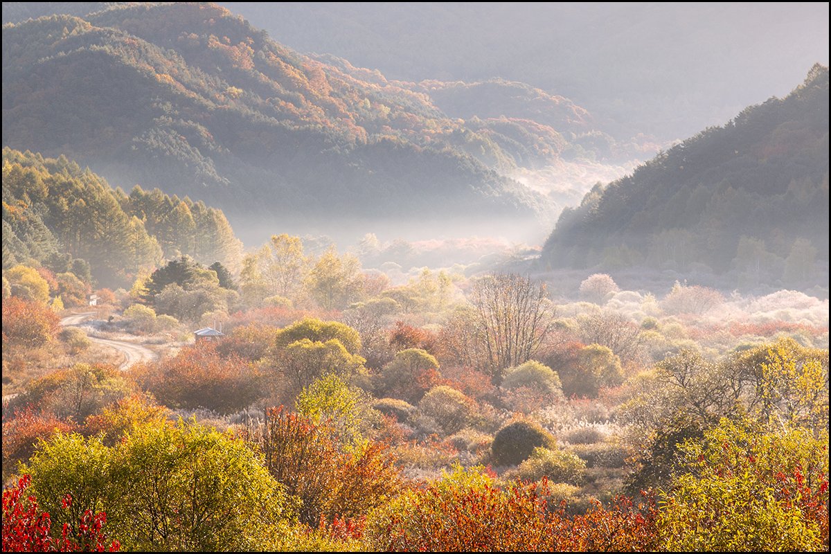 특특-2.jpg : 시크릿 가든