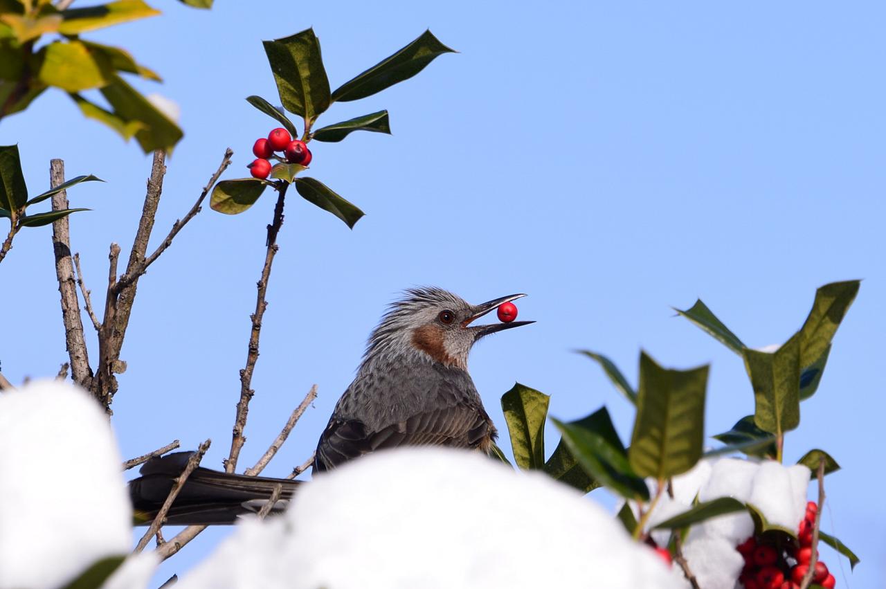 BandPhoto_2016_12_21_14_43_53.jpg : 지난 겨울