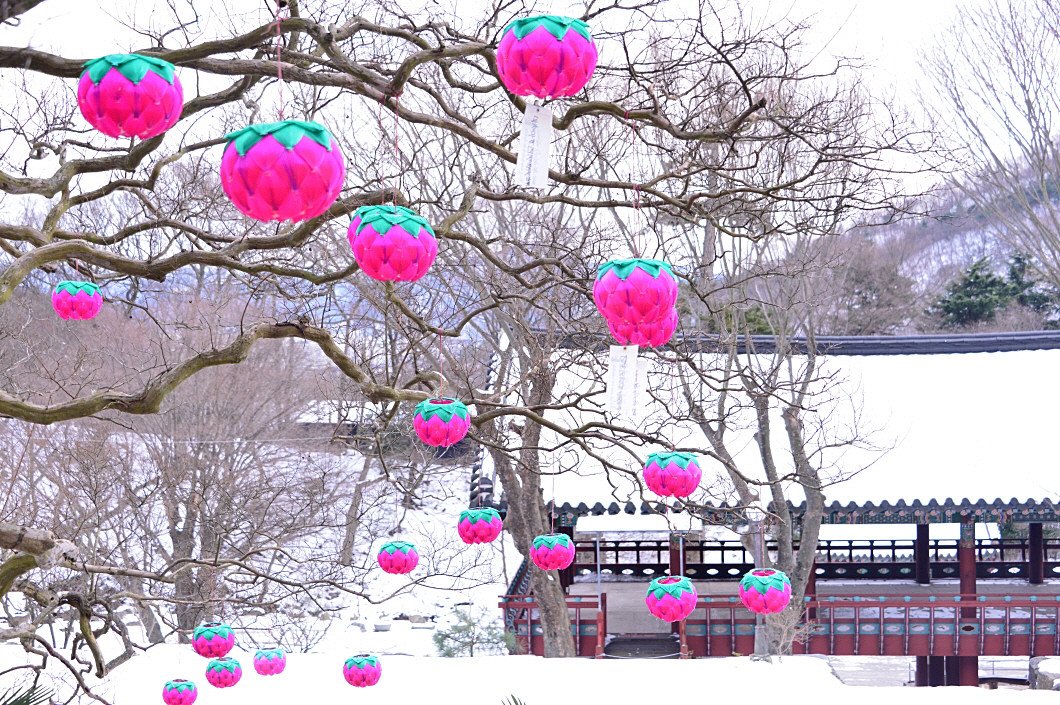 BandPhoto_2016_12_21_14_47_03.jpg : 지난 겨울