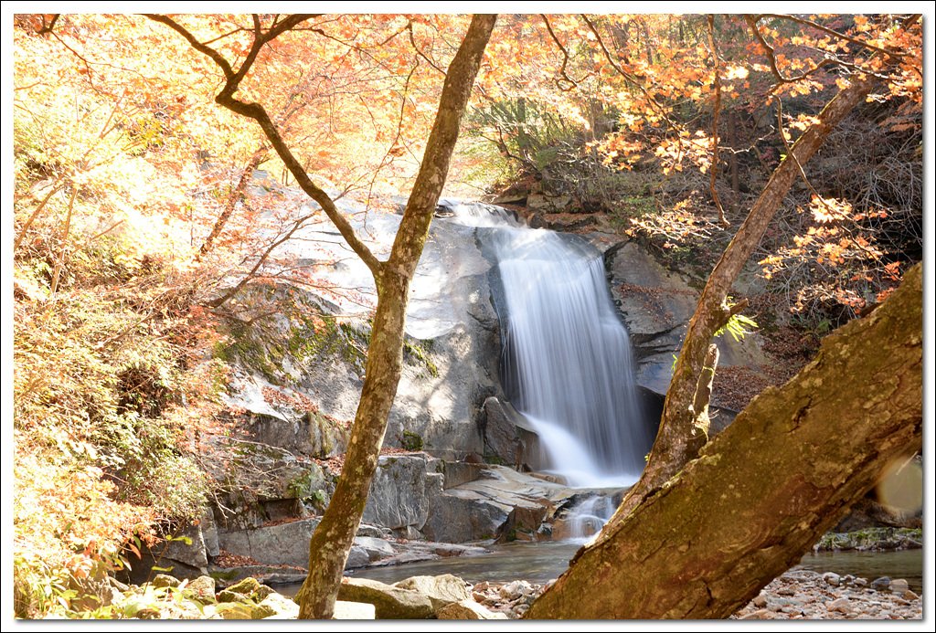 DSC_6769.jpg : 정모숙제 입니다. DSC_6769.jpg : 정모숙제 입니다.