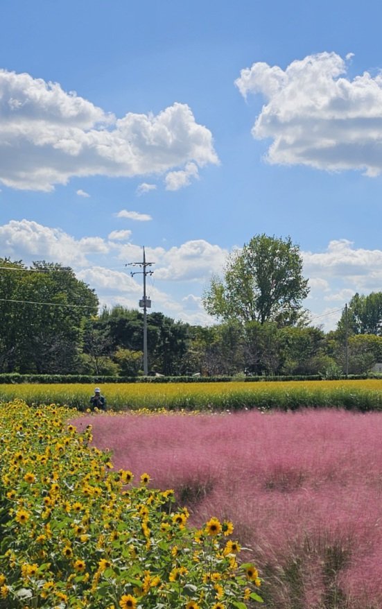 1727604445986-1.jpg : 소풍정원