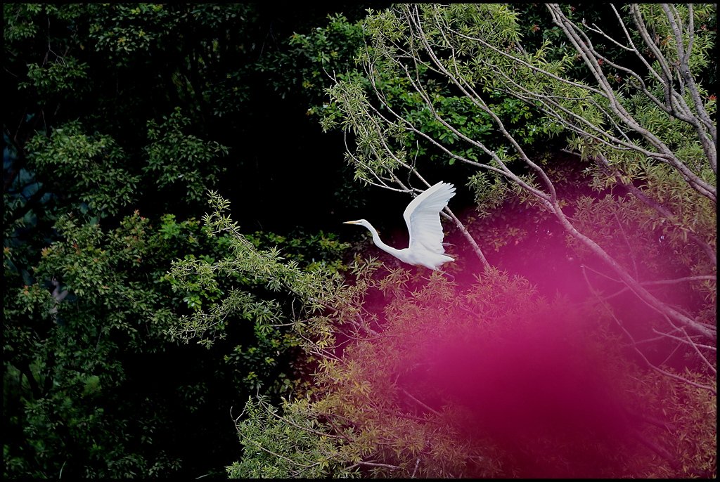 8D1A4140.jpg : 비행~