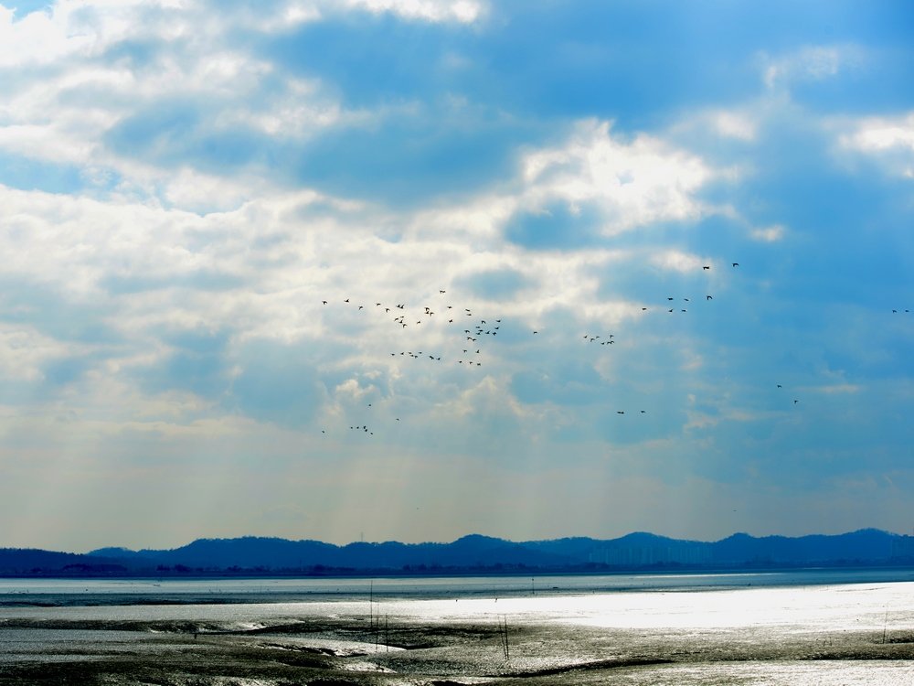 cc자연의 축복.JPG : 자연의 축복...