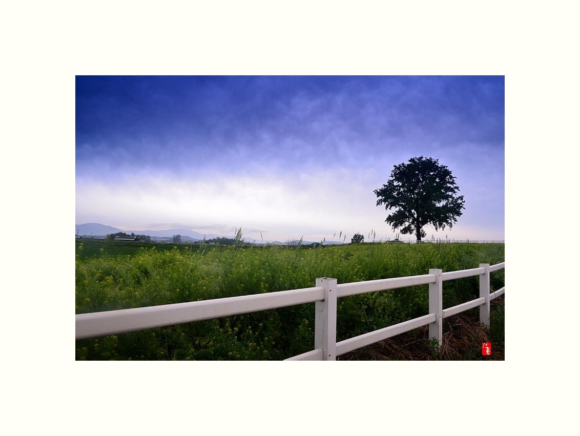 IMG_20180507_152649.jpg : 목장 산책 IMG_20180507_152649.jpg : 목장 산책