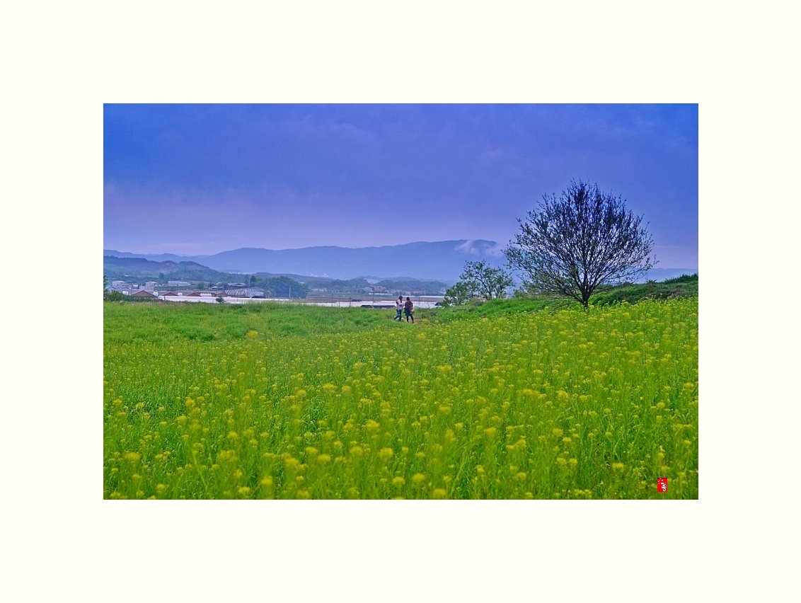 IMG_20180507_152809.jpg : 목장 산책 IMG_20180507_152809.jpg : 목장 산책