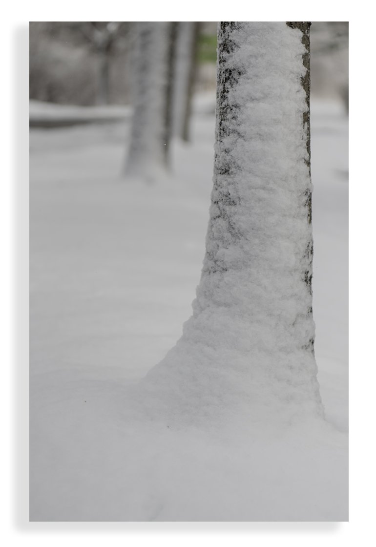 DSC_8398 @.jpg : 여운