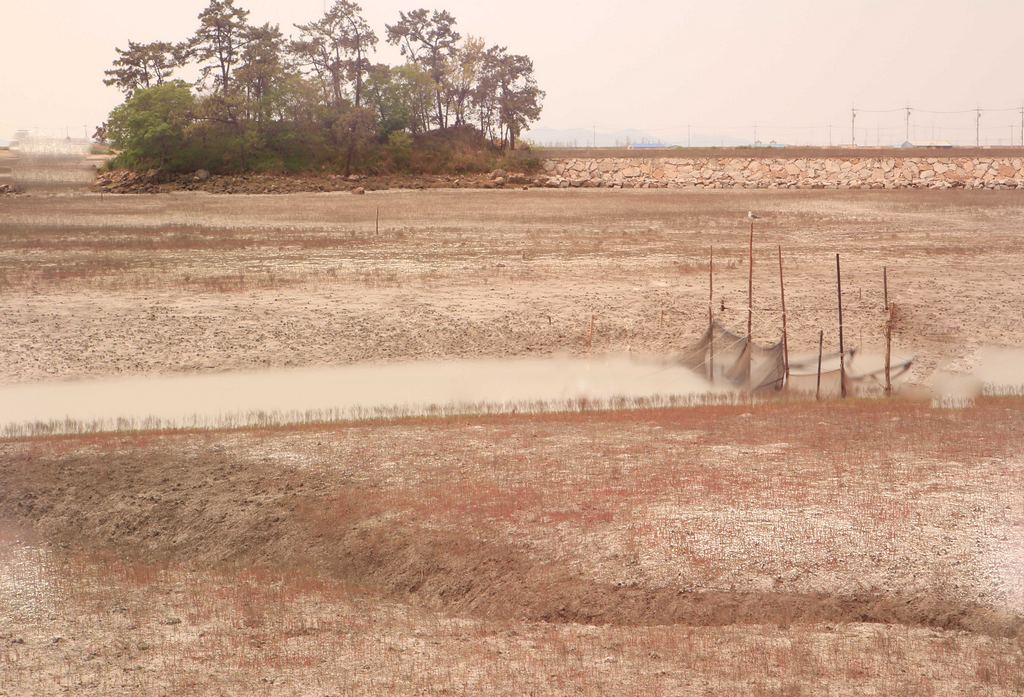 작품.jpg : 군산갯골