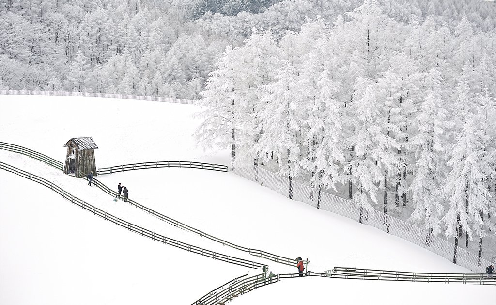 _DSC3654_00001_00001.jpg : 양떼목장 2