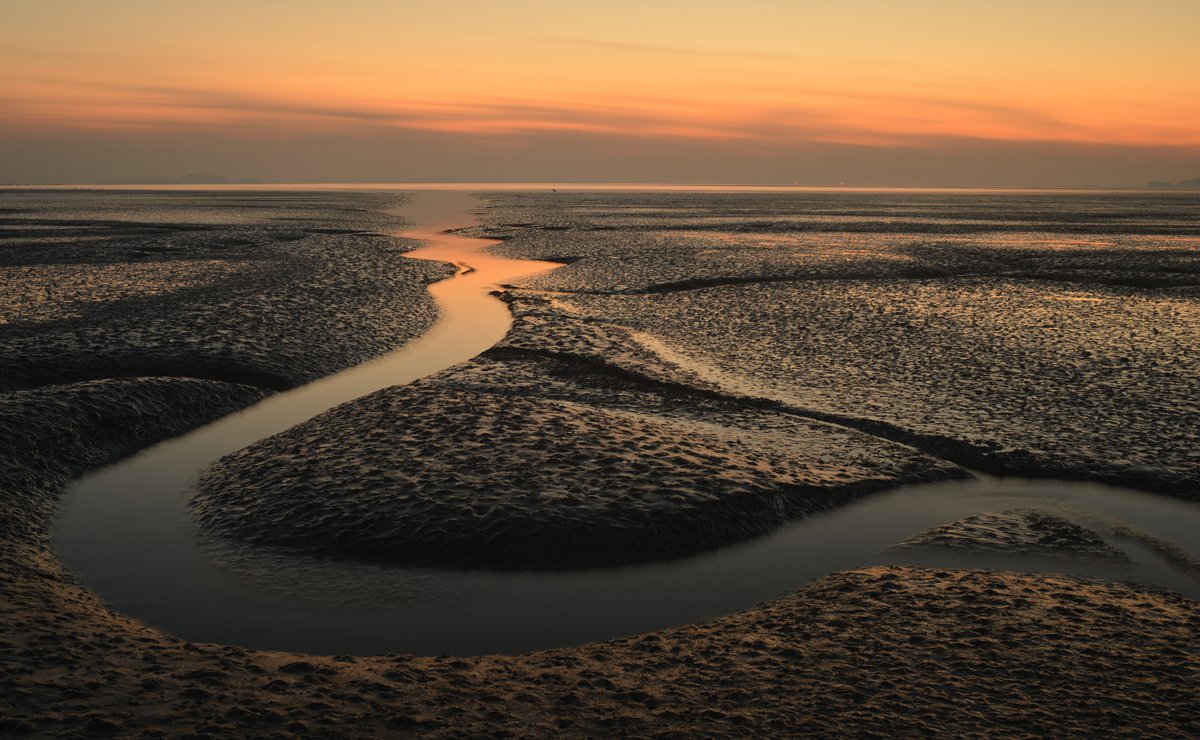 DSC_3229-선.jpg : 선감도