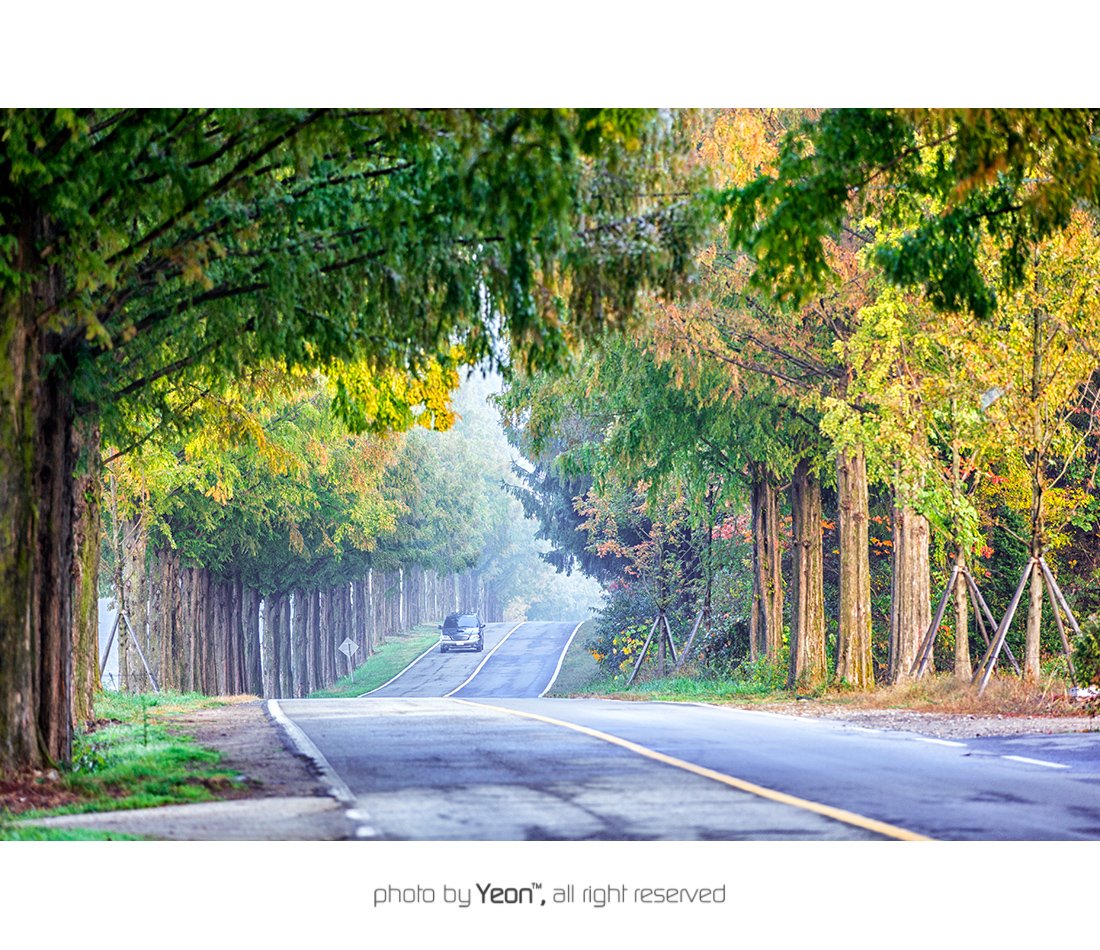 모래재-1-Web.jpg : 모래재의 초가을...