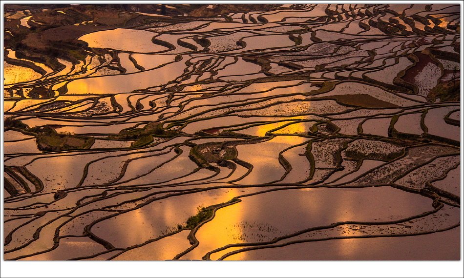 [R]DSC_6580.jpg : 다랭이논