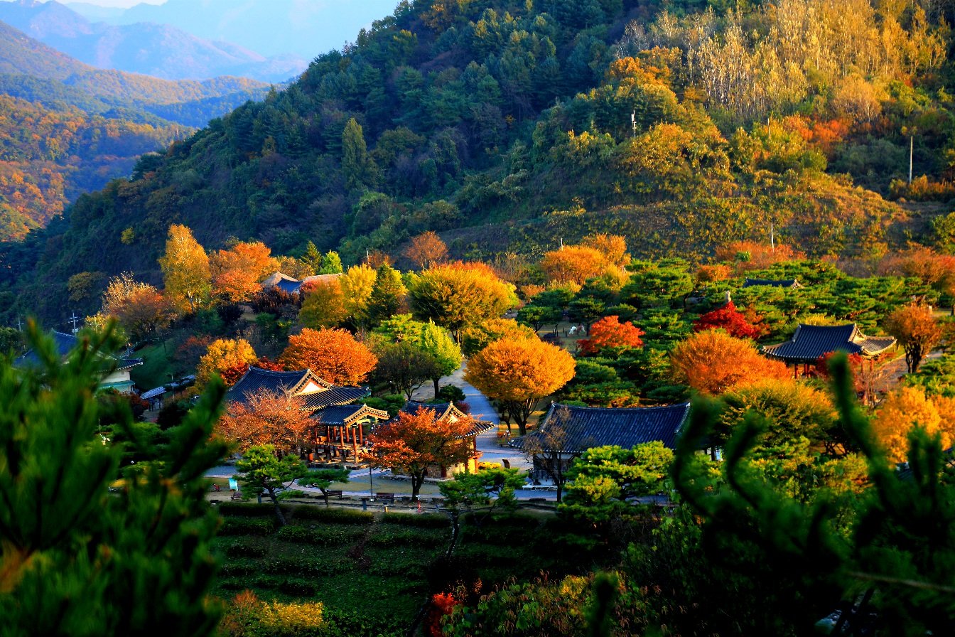 979A7716.JPG : 가을여행2