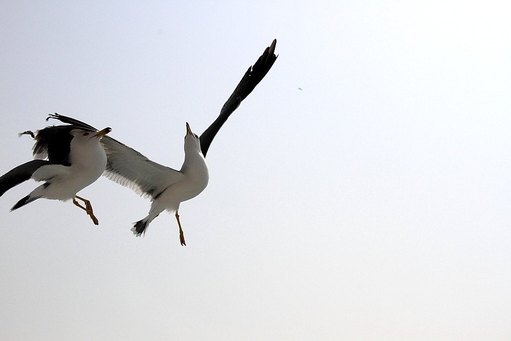 IMG_8650.jpg : 딱~ 걸렸으... 2