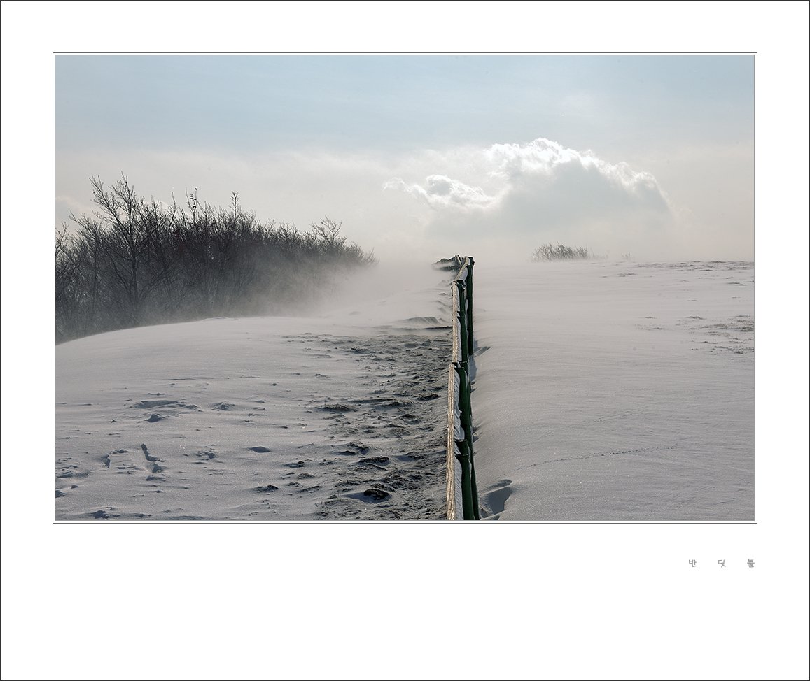 _DSC8822-1.jpg : 양떼목장