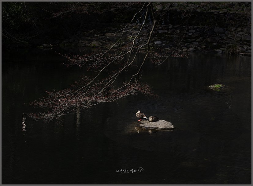 CE3A3865-3resize.jpg : 산사의 봄 햇살