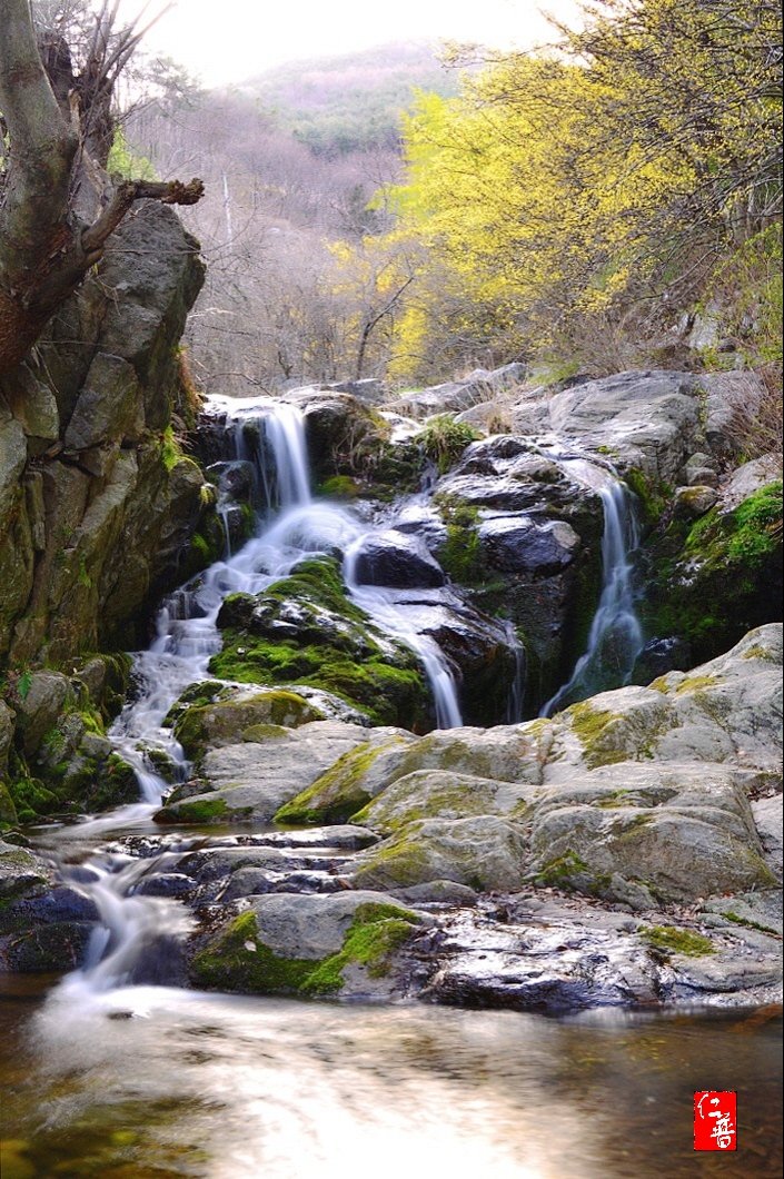 IMG_20200321_222011.jpg : 개울가의 봄