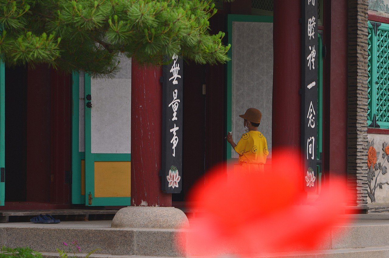 BandPhoto_31582060284.jpg : 초여름 산사