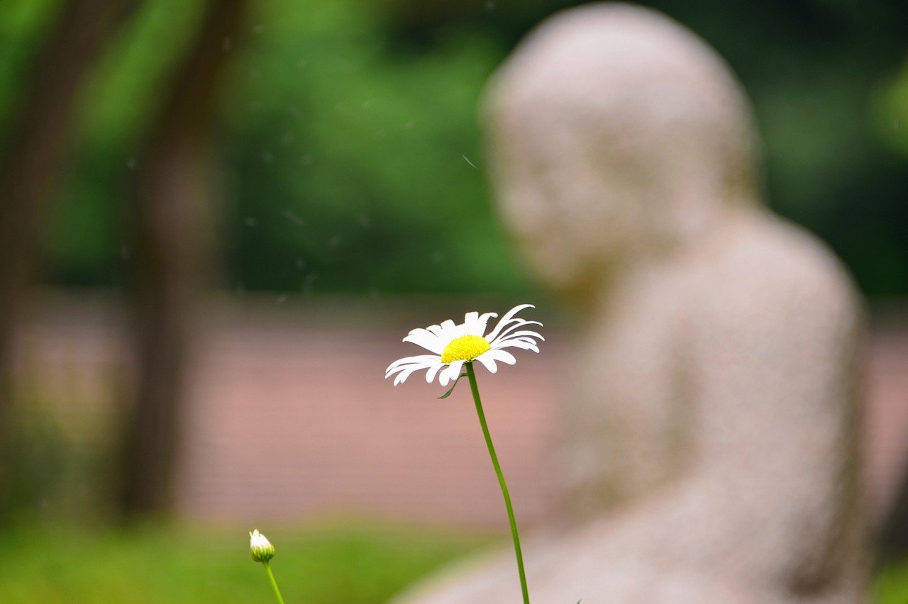 BandPhoto_31582060260.jpg : 초여름 산사