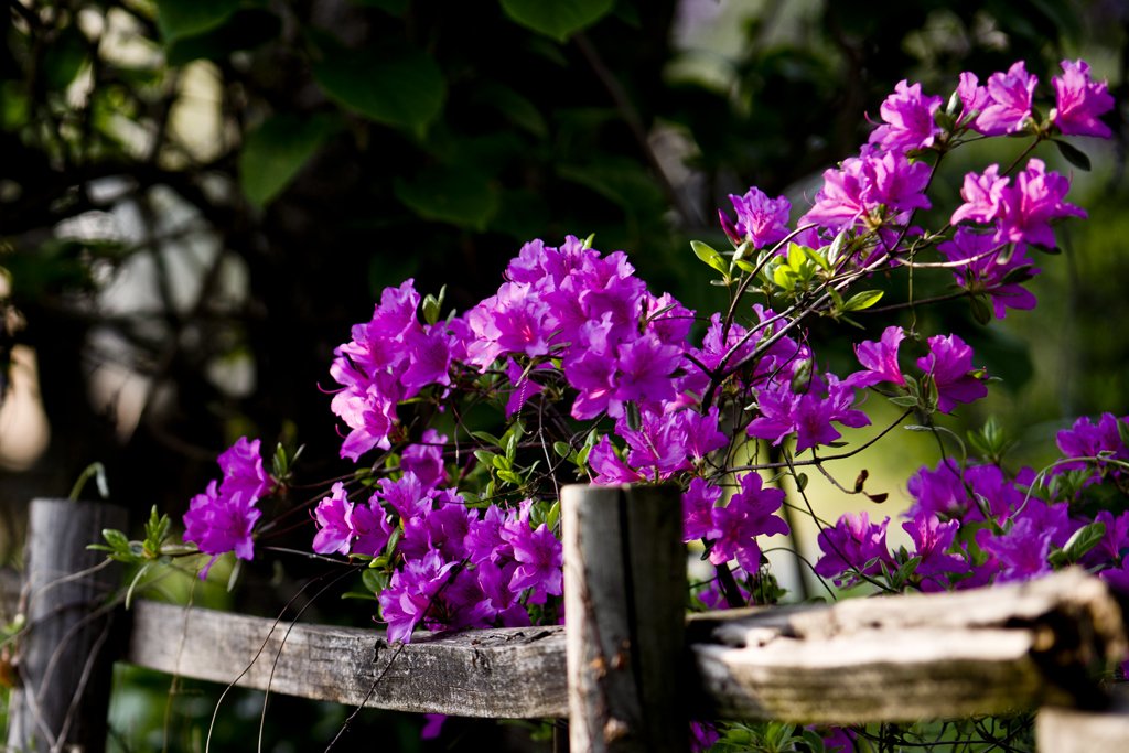 _IMG0217.jpg : 퇴근길에~~