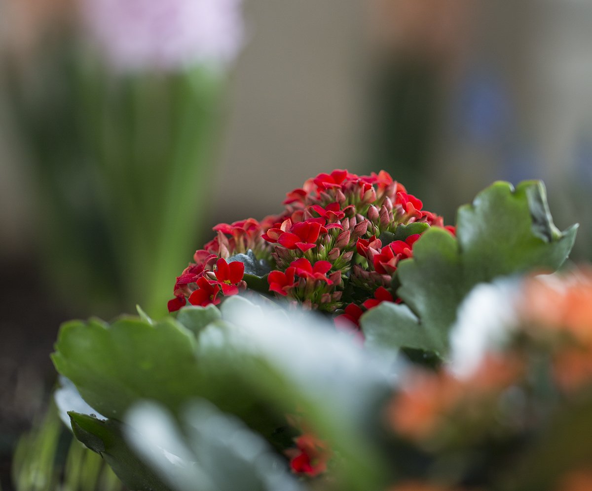 KJW_4157.jpg : 화신 KJW_4157.jpg : 화신