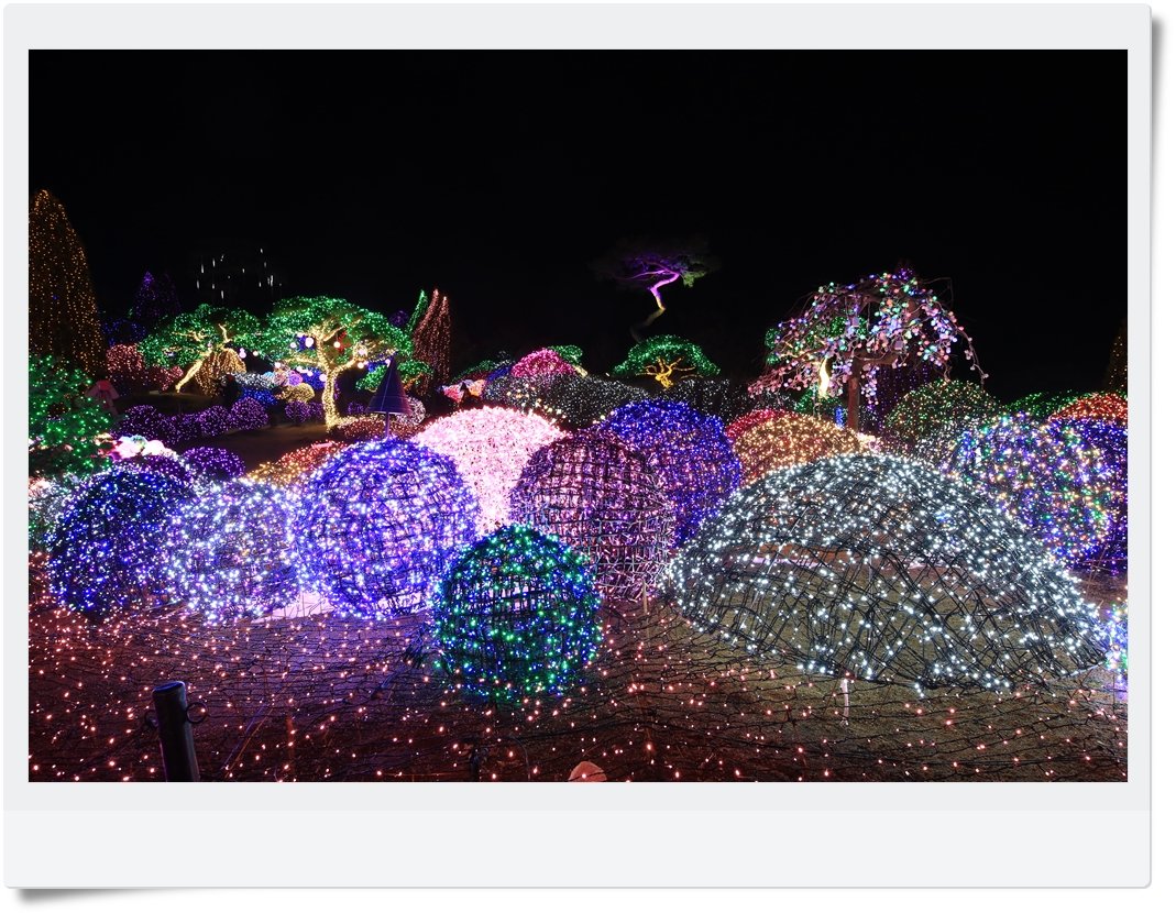 CHW_1143.JPG : 어느 동화속 풍경