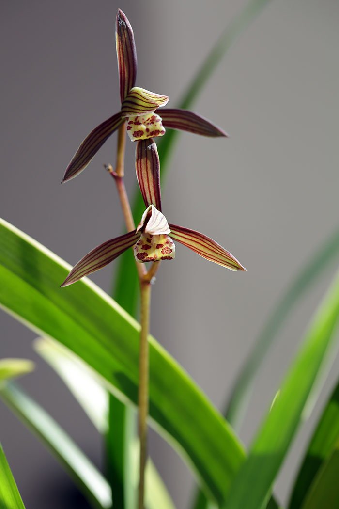 KJW_2908-1.jpg : 난