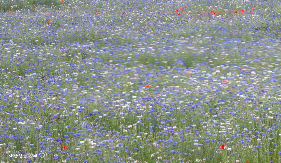 CE3A0139-1resize.jpg : 정모 숙제 CE3A0139-1resize.jpg : 정모 숙제