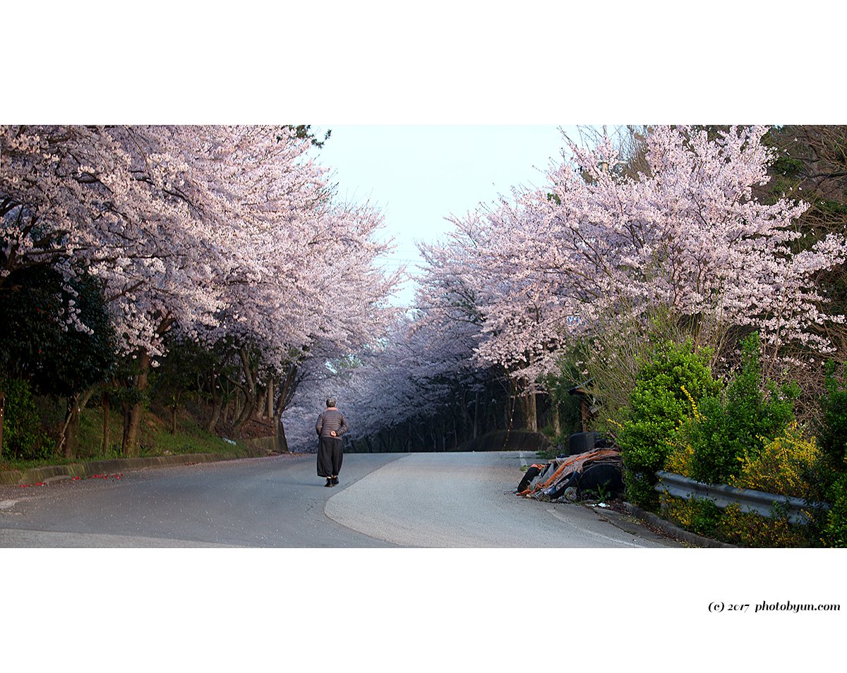 Q23C8215.jpg : 회원님을 모델로