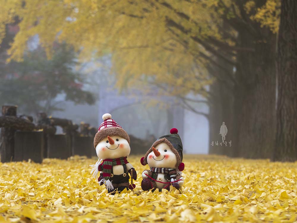 _LMJ5709-1.jpg : 나도 MD~!