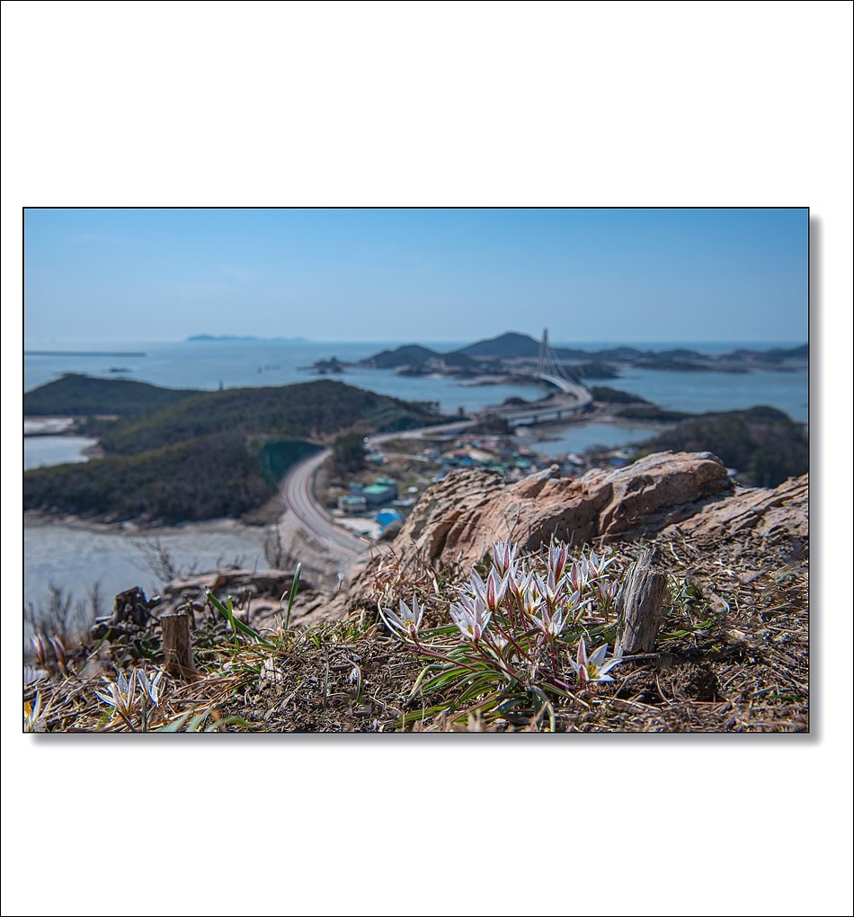 DSC_1320.jpg : 3월정모 취소된 곳 ( 선유도 ) DSC_1320.jpg : 3월정모 취소된 곳 ( 선유도 )