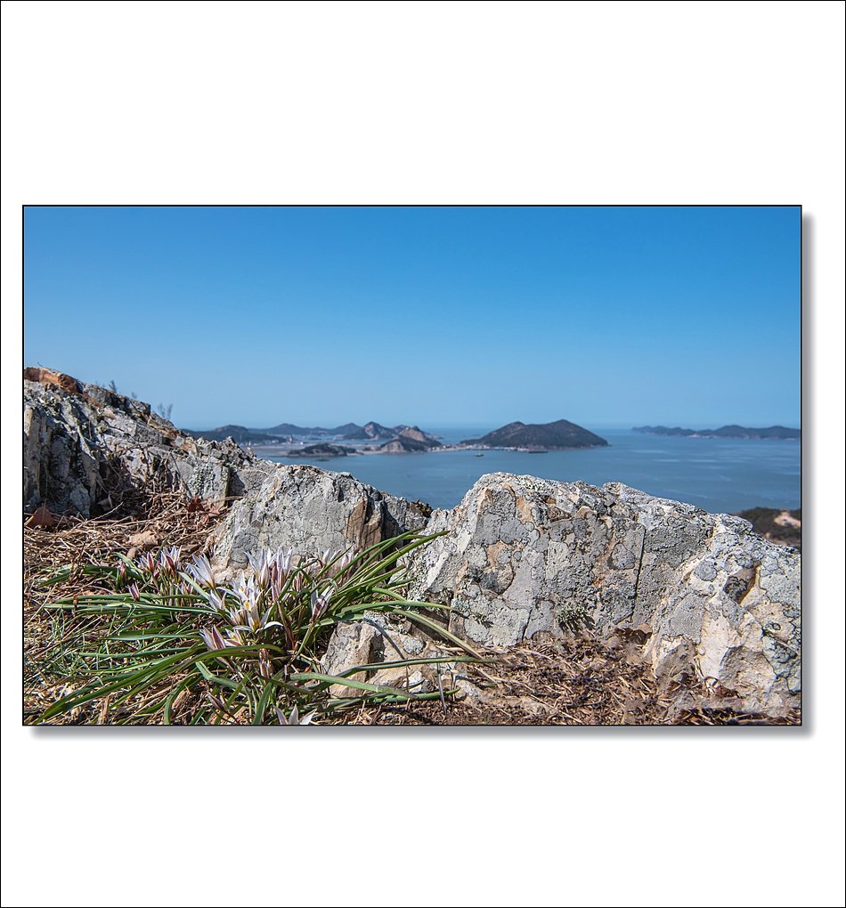 DSC_1251.jpg : 3월정모 취소된 곳 ( 선유도 ) DSC_1251.jpg : 3월정모 취소된 곳 ( 선유도 )