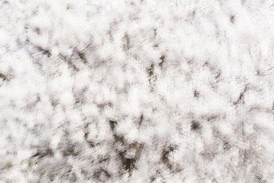 카카오스토리_2024_04_21 09_48_54.jpg : 철쭉