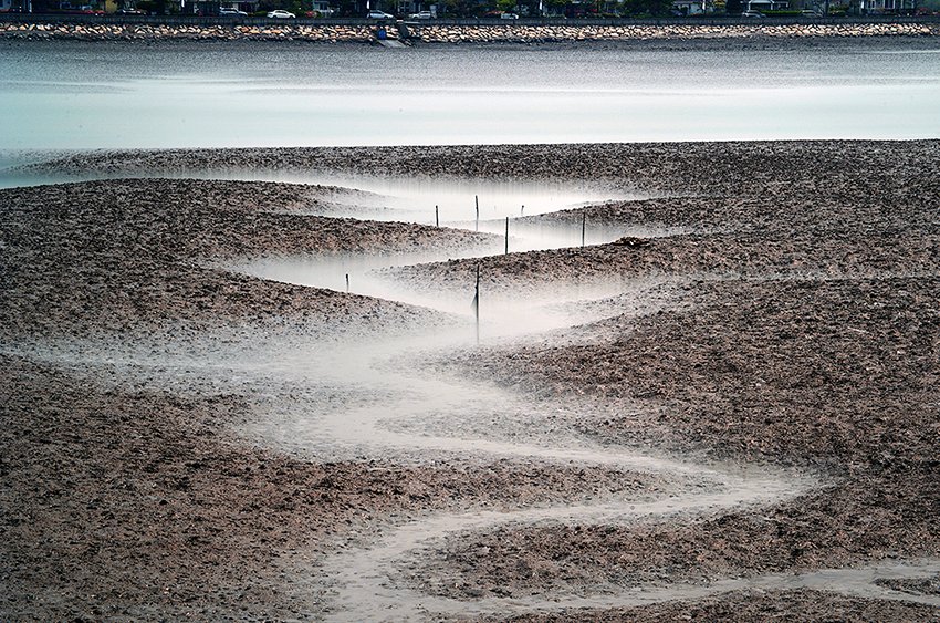 DSC_2016-선감도2.jpg : 또 선감도