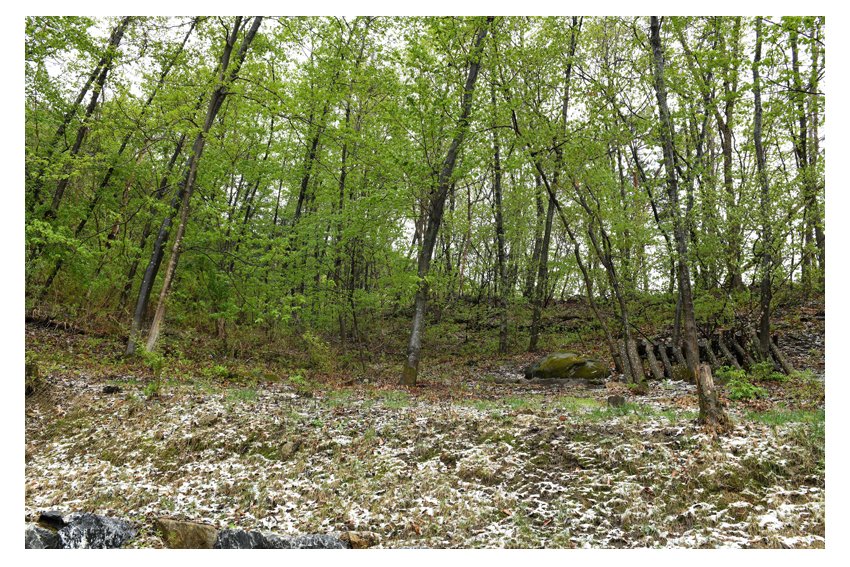 DSC_0370.JPG : 눈발