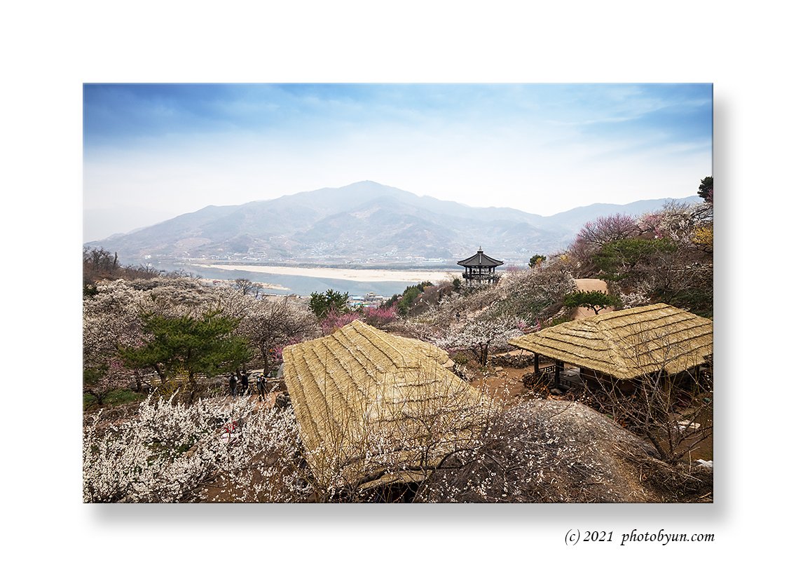 0P3A0193.jpg : 청매실농원