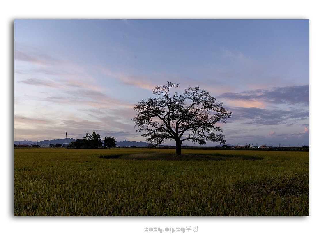 DSC_1276 @@.jpg : 소경