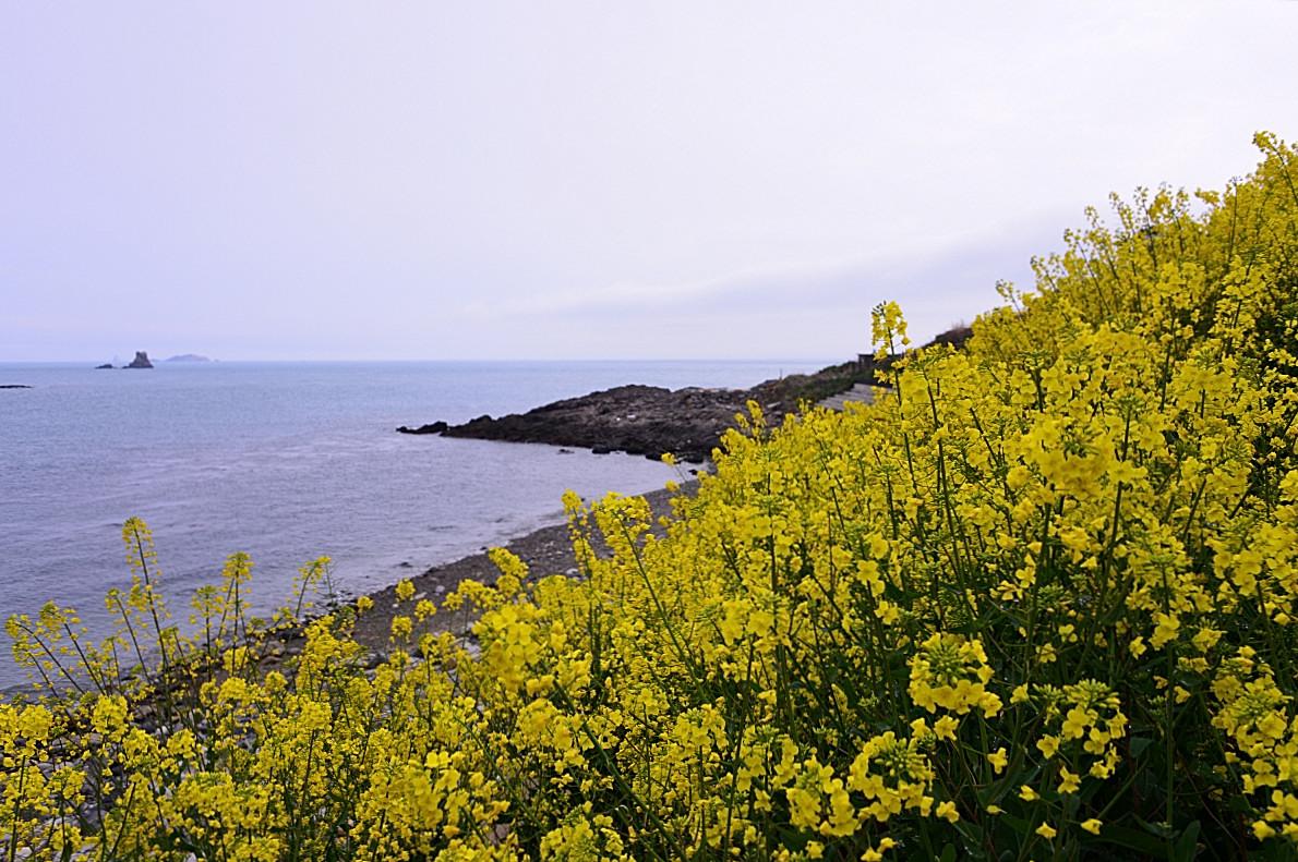 BandPhoto_8606319989.jpg : 추자도 파도치던 날