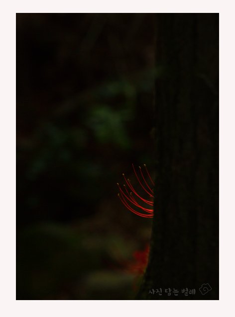 CE3A8633 resize.jpg : 촉 CE3A8633 resize.jpg : 촉