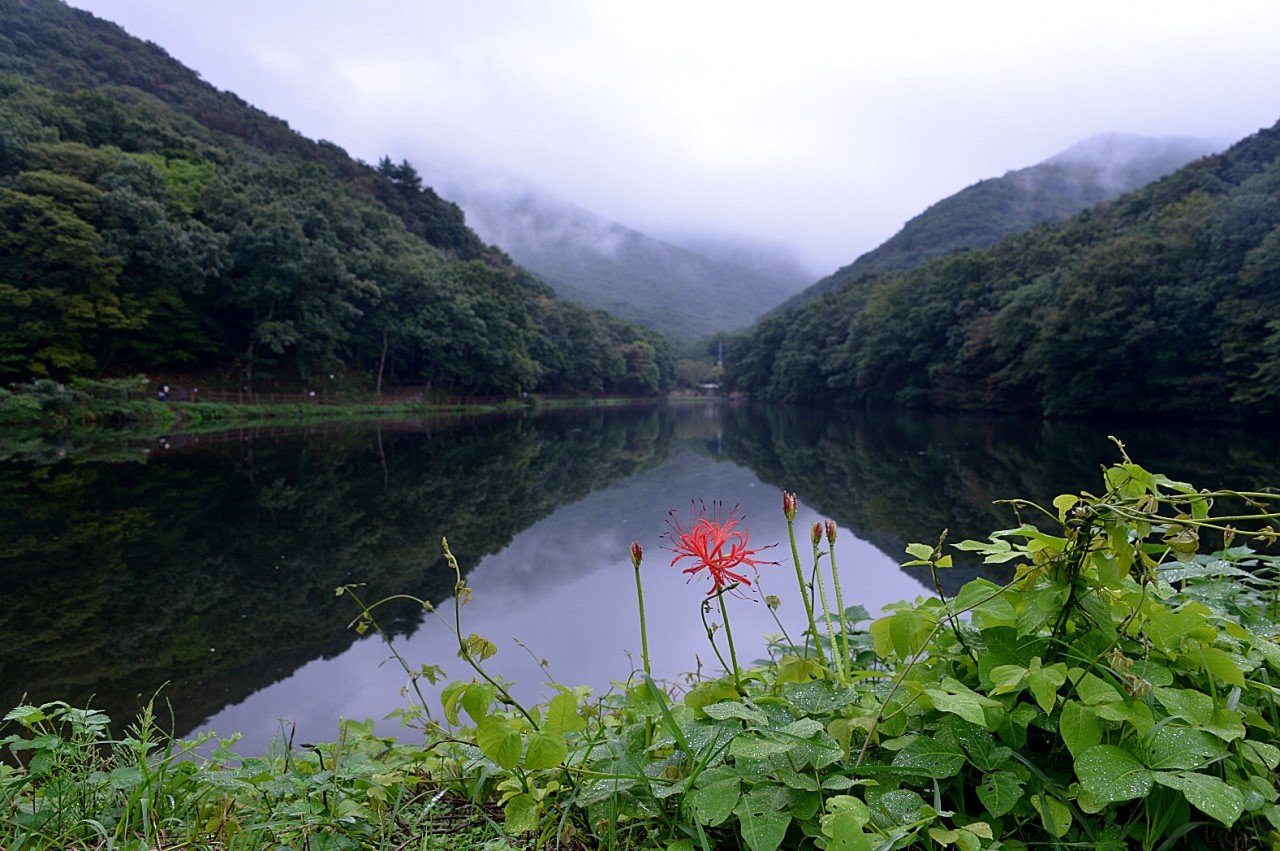 BandPhoto_10188596485.jpg : 정모ㅡ불갑사