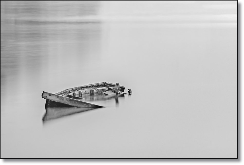 DSC_5699_1.JPG : 기다림