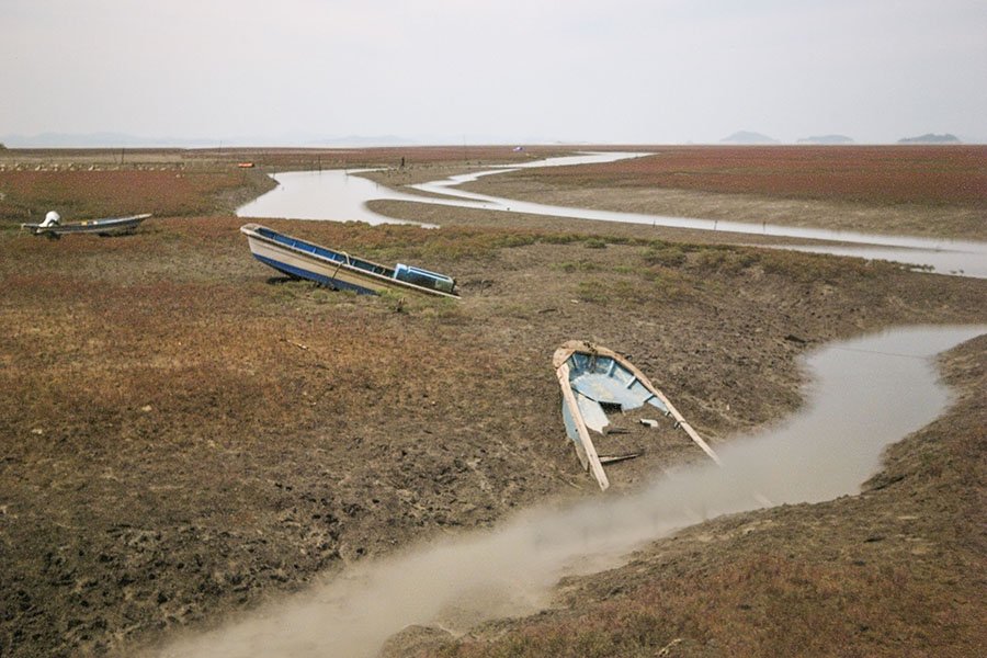 HVxx9,A9930.jpg : 영광갯벌