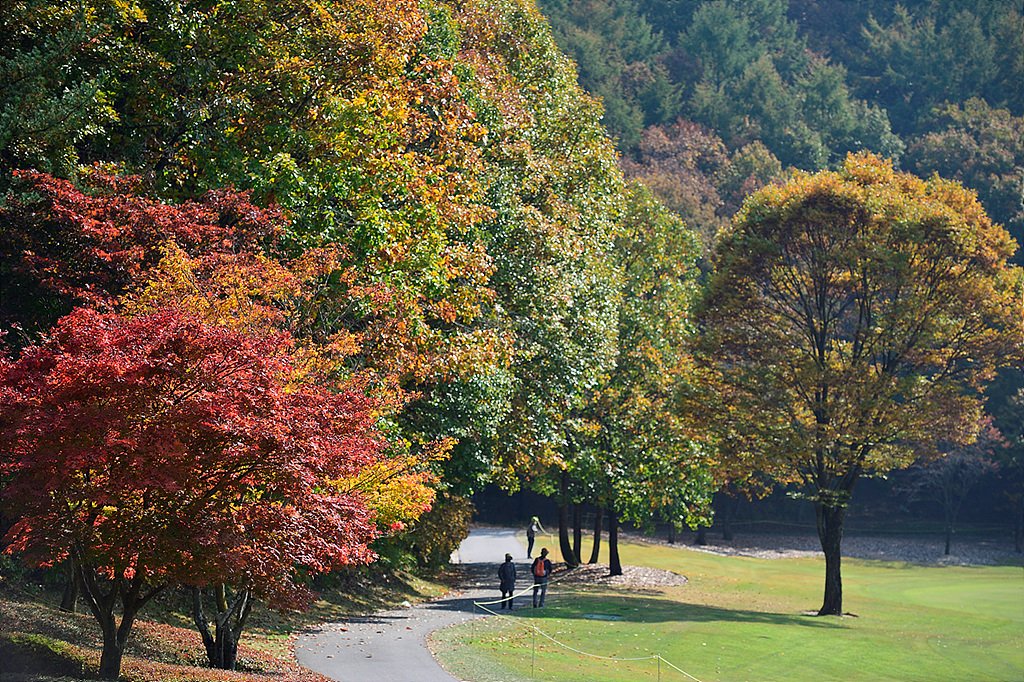 사본 -_DSC3129.jpg : 오크벨리 CC의 추색