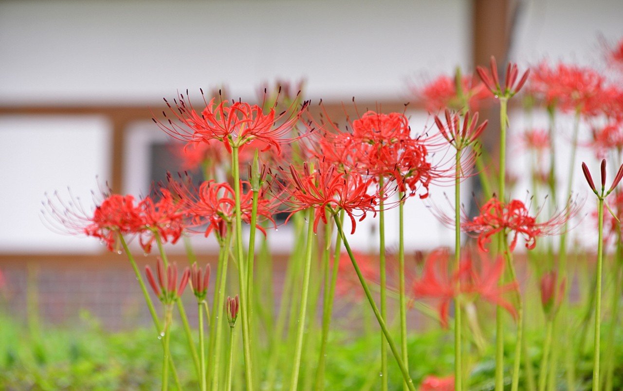 BandPhoto_10188596535.jpg : 정모ㅡ용천사