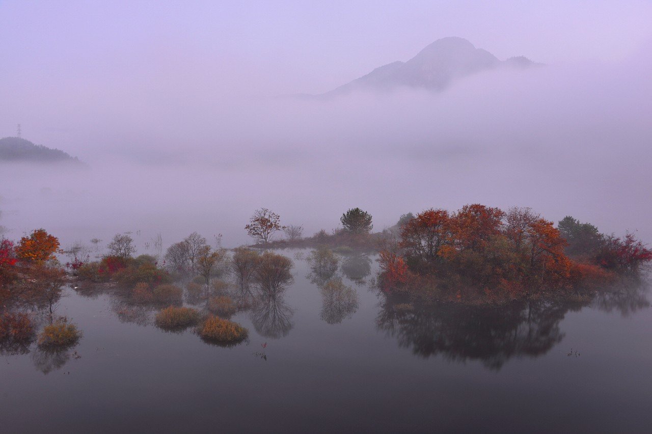 BandPhoto_10769484894.jpg : 진안의 가을