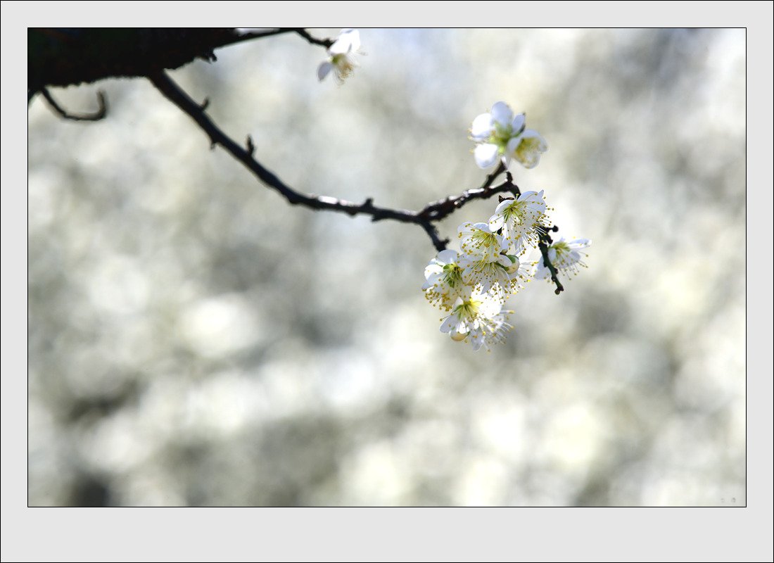 K20_6858_00001.jpg : 동네 한바퀴 K20_6858_00001.jpg : 동네 한바퀴