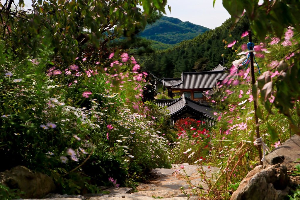 5K5A9651-20201007.jpg : 만의사